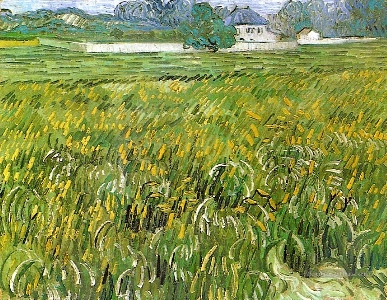 Champ de blé à Auvers avec la Maison Blanche Vincent van Gogh Peintures à l'huile